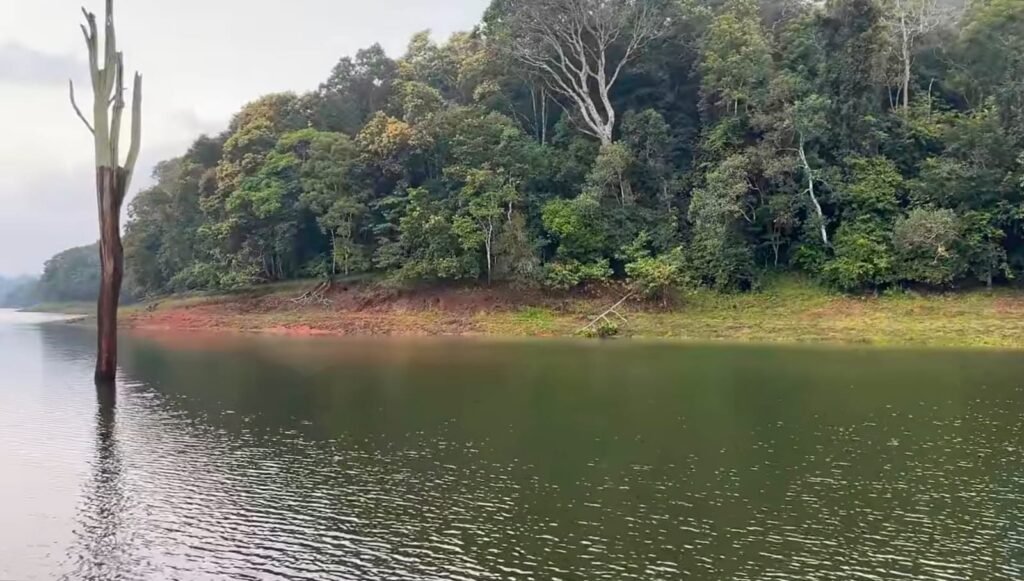 boat ride thekkady discoverthekkady